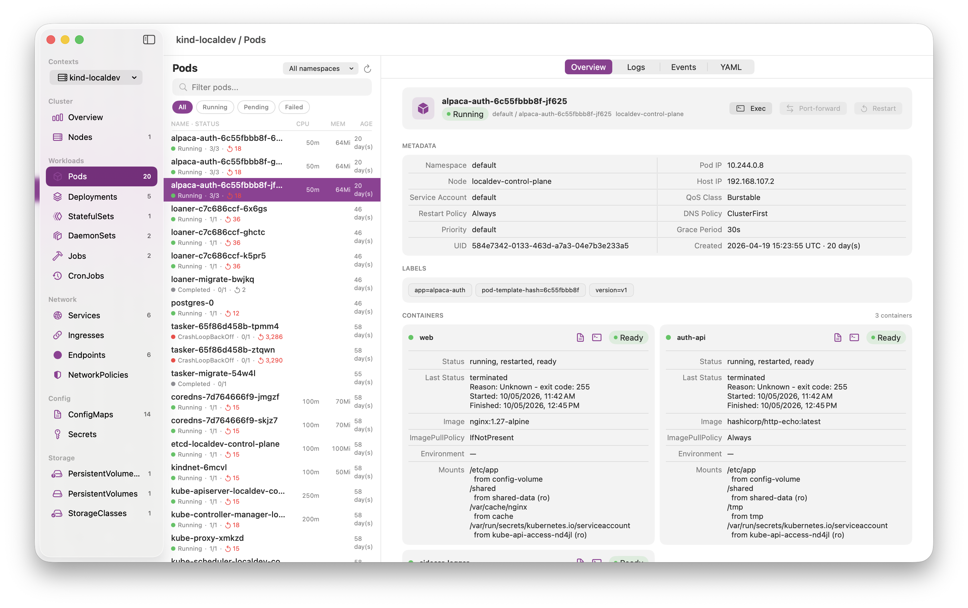 raft showing a pod list alongside streaming container logs